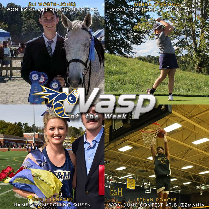 What time is it? #WaspoftheWeek time! On the ballot, we have some newly crowned royalty and champions! Place your votes. #StingersUp