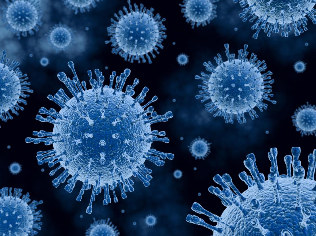 Mitochondria018's tweet photo. @cellwal2017 keeps viruses like these out every day. Don't support discrimination. Vote @Mitochondria018. #lmhsorganelle2017 https://t.co/XxhjXGg82y