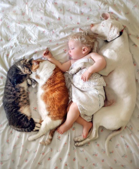 CapaMag's tweet photo. Kanada'da yaşayan Elizabeth Spence, 2 yaşındaki çocuğu ve 7 sene önce barınaktan aldığı köpeğinin arkadaşlıklarının fotoğraflarını paylaştı. https://t.co/EU5mQZmTee