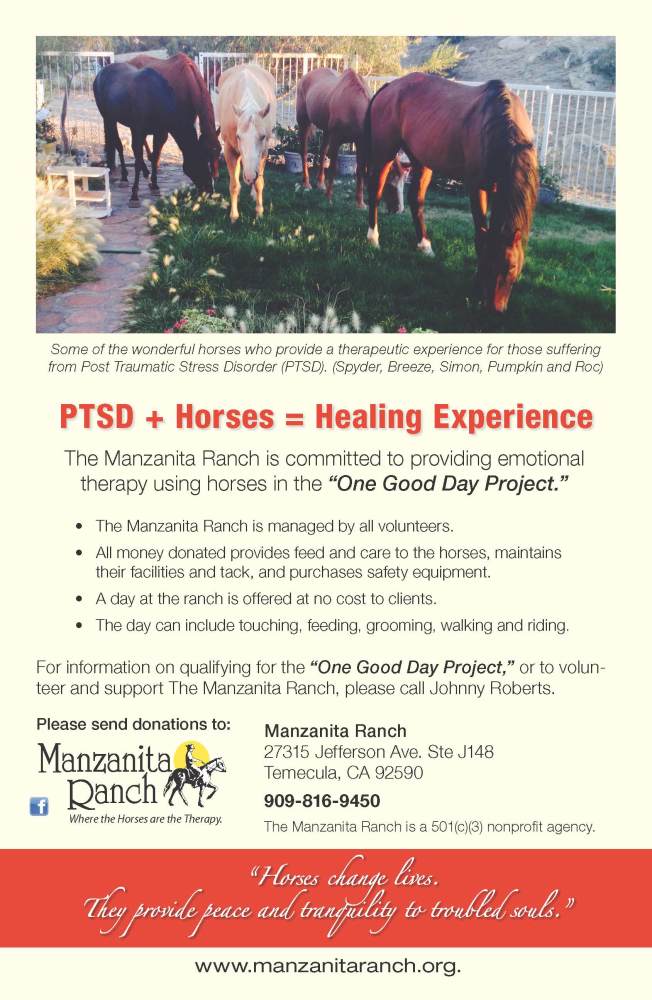 PTSD + Horses = Healing. Seeking veterans to spend time with the horses who provide the therapy.