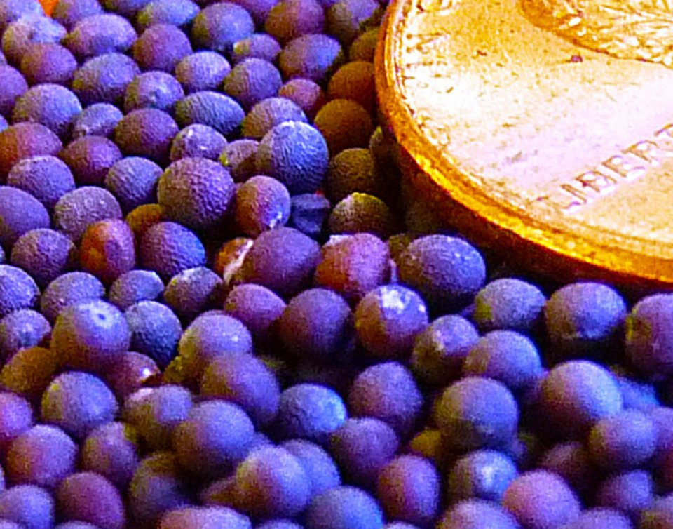 JRHvisualart's tweet photo. "A Penny for Faith"
Micro Photography
2 Prints Available 
Price varies based on size https://t.co/xuvGjqalLE