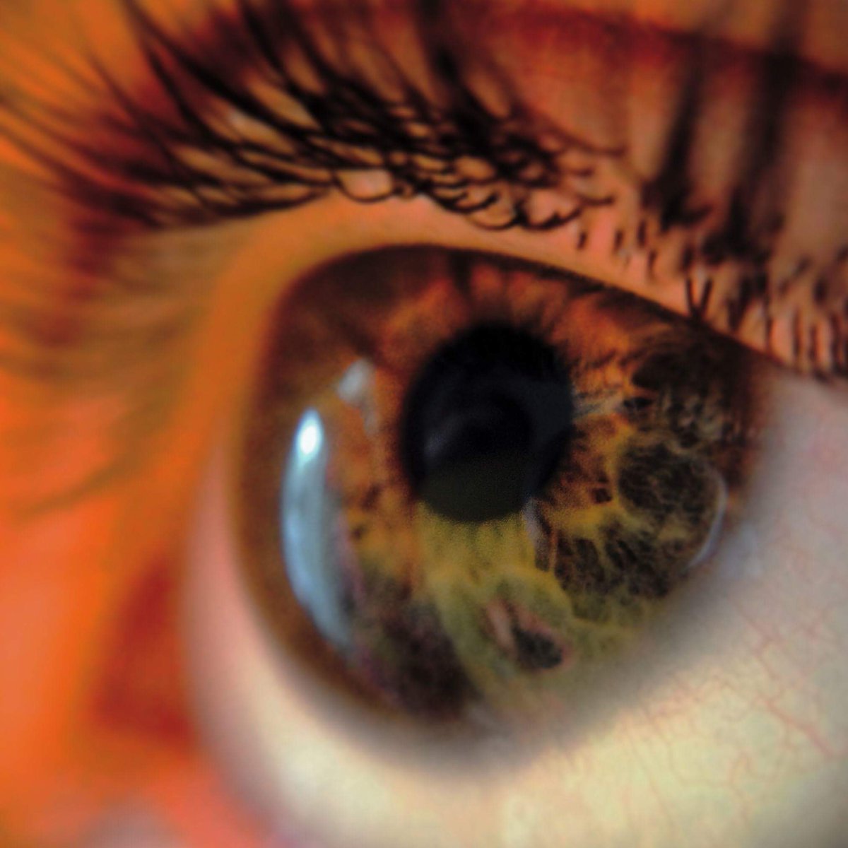 SciMarketUW's tweet photo. Color vision, colorblindness, &amp; optical illusions - on my!

Join us THIS SATURDAY at the #udistrict farmers market for the science of vision https://t.co/1dZWlSd5Hi