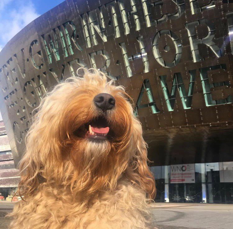 theCentre's tweet photo. We're lucky enough to see some beautiful photos from our visitors, and we love to share them, such as this one from @tedoodledoo. https://t.co/s2la6HnOuE