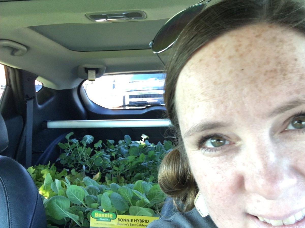 BethkeGarden's tweet photo. Got vegetables? @BethkeElem #BethkeGrows https://t.co/Q3uYsLD2eT