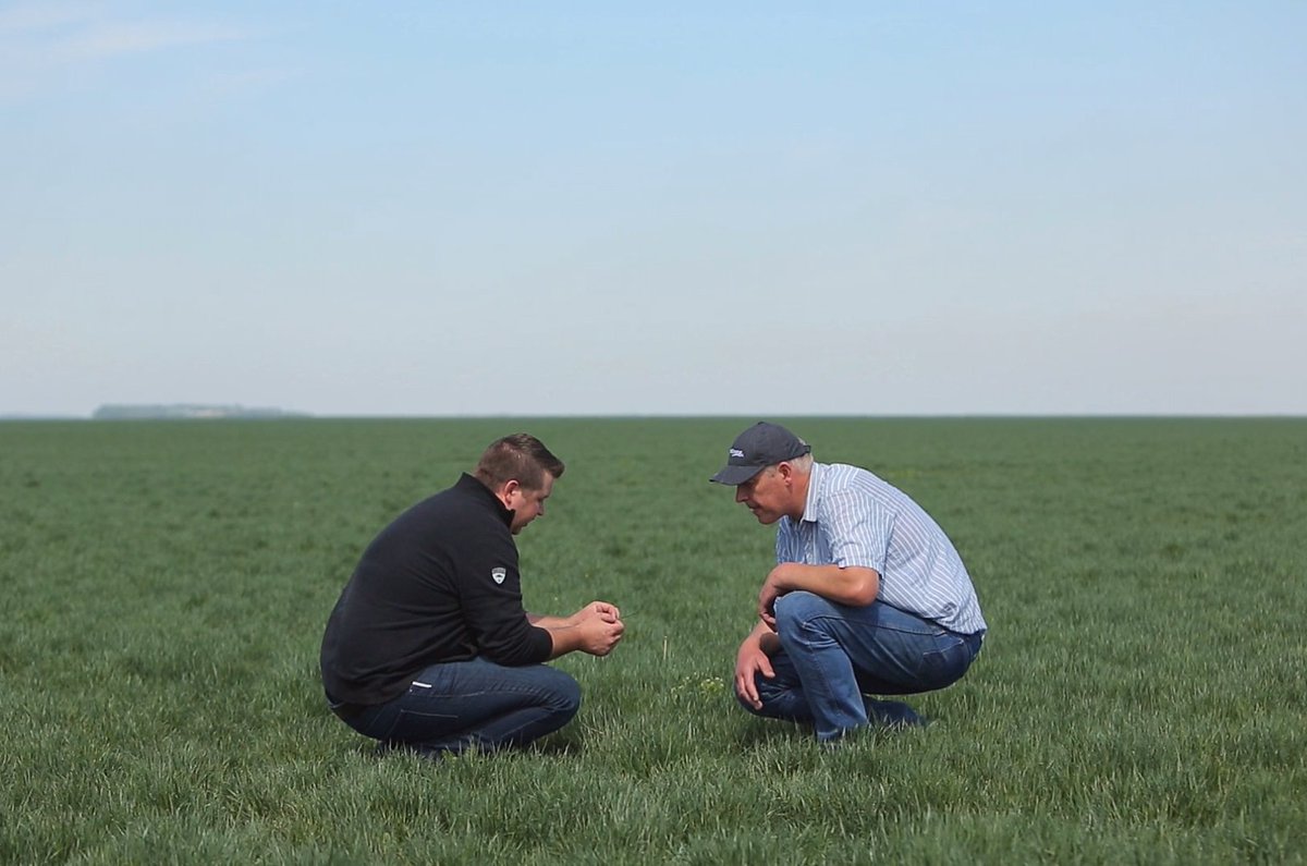 BrettYoungSeeds's tweet photo. Become a BrettYoung forage or turf Seed Grower and add a dedicated Seed Production Specialist to your team! https://t.co/6UIb5WAr2g https://t.co/t0SI07dDgZ