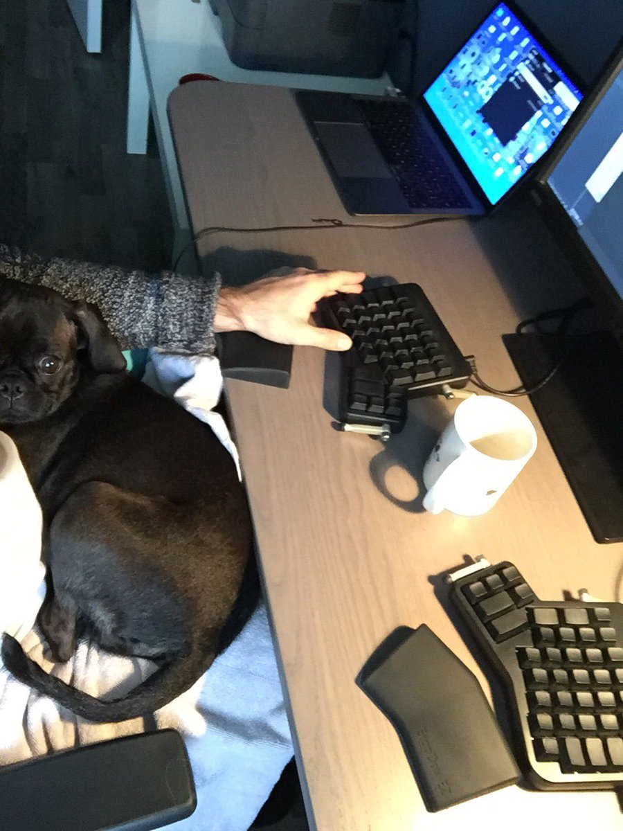 robinfeh's tweet photo. don't we have the best job?#programmer #softwaredev #coder #codingdog #ergodox https://t.co/SYQE09On4n