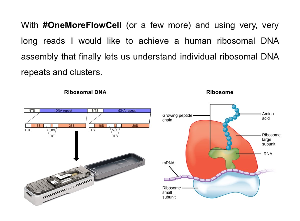 sj_marzi's tweet photo. @nanopore is the extended deadline still open? Would love to submit to #OneMoreFlowCell to fly to NYC with lots of questions for the experts https://t.co/TdMW7X8bno