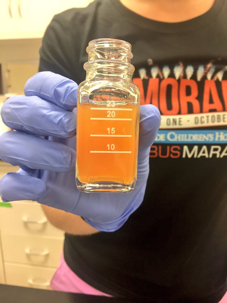 KateHarrisH2O's tweet photo. Day 1 of my research project! 😊

Tested #waterquality parameters including Nitrate, Nitrite, Ammonia, and Chloride 💦 https://t.co/WSk6oBltbk