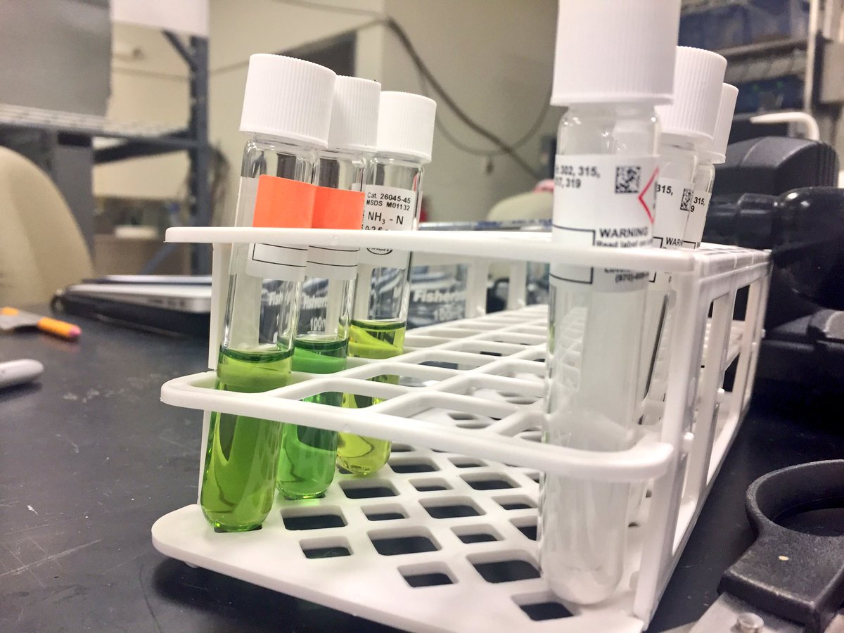 KateHarrisH2O's tweet photo. Day 1 of my research project! 😊

Tested #waterquality parameters including Nitrate, Nitrite, Ammonia, and Chloride 💦 https://t.co/WSk6oBltbk