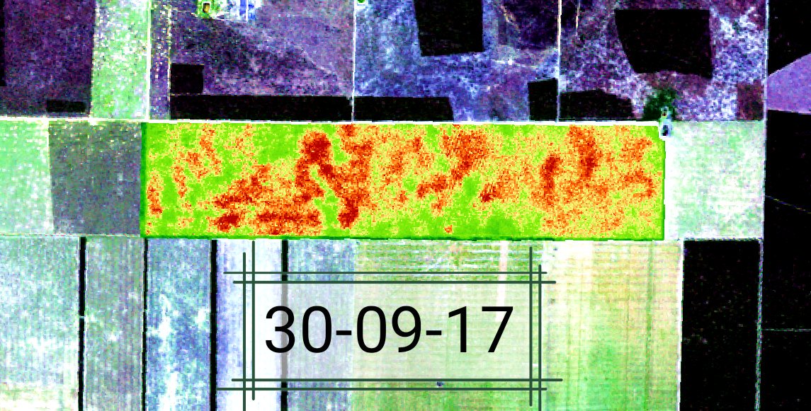 agd_tucuman's tweet photo. #NDVI : pulverización selectiva, el antes y después, mapeo de la aplicación en el este tucumano. @asoler1962 @hernan_halvarez @DarioVel8619 https://t.co/BcbWiSa0IQ