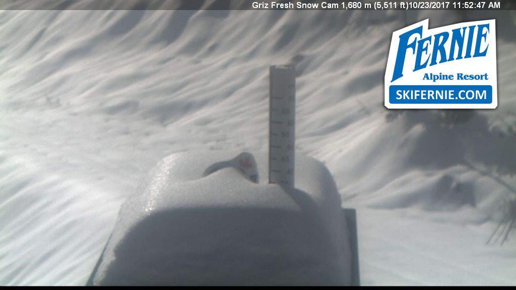 SkiFernie's tweet photo. Where's the #Griz?  Under about 35cm's - that's where!
#lovefernie https://t.co/NfsU0jXi8x