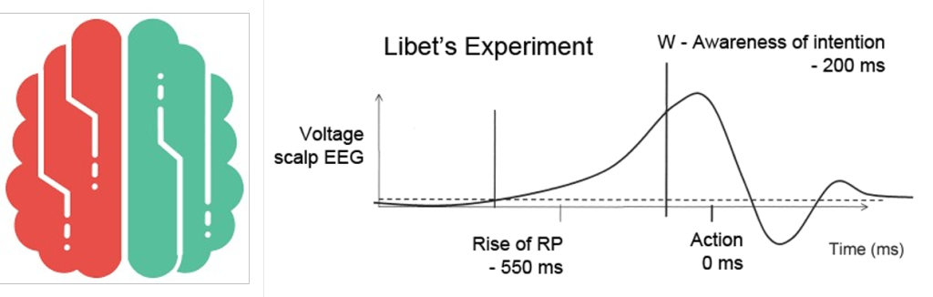 The Brains Blog (fediscience.org/@Brains) tweet media