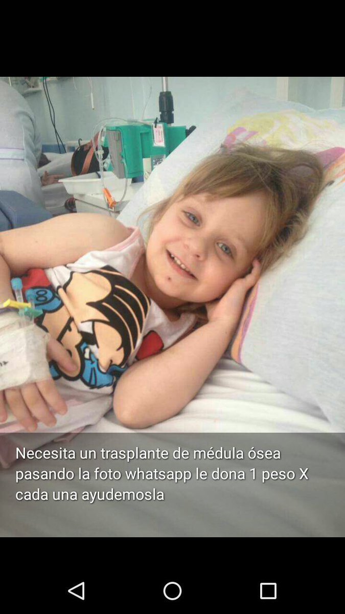 Guillermo Lopez tweet media