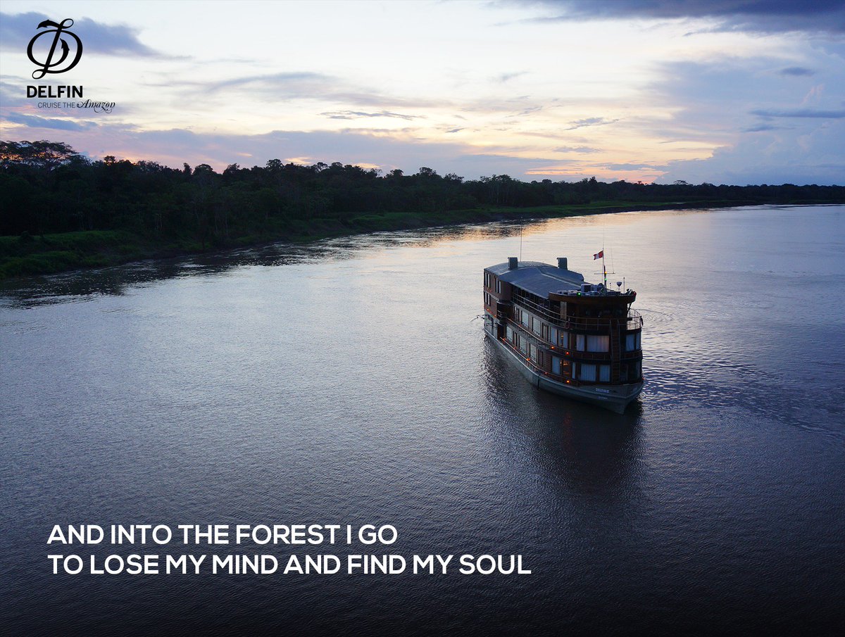 DelfinAmazon's tweet photo. It is a life experience to be in the middle of the Amazon Rainforest. For more information on the departure, visit https://t.co/apIFg4zFoG https://t.co/bQqIFDTgiW