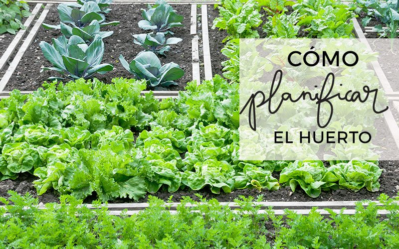 CaraboboCLAP's tweet photo. Quieres iniciar un huerto pero no sabes cuáles rubros se dan fácil? Aquí pequeños trucos https://t.co/pan54he7UA🌱#NoMasGuarimbaEconomica https://t.co/wYJG51bWC0