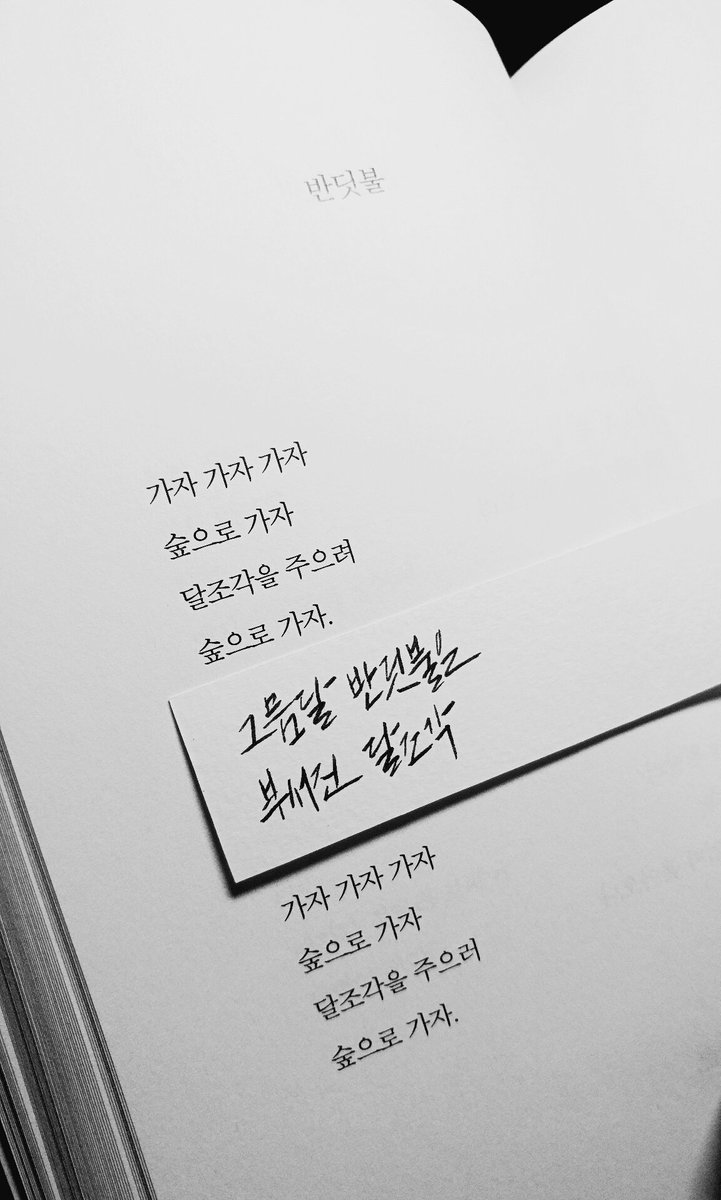 *윤동주_반딧불
'달조각'을 주으러
숲으로 가자. 🌙
#SAMOCAlli