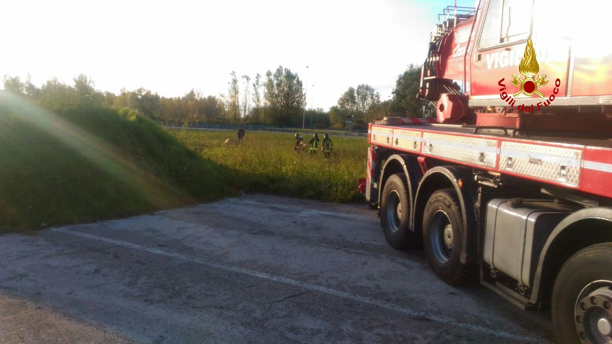vvfveneto's tweet photo. #23ott 0430 Chioggia, si rovescia rimorchio camion carico di bovini lungo la Romea in rotatoria a #Valli intervento #vigilidelfuoco https://t.co/fiqHzWJZVG