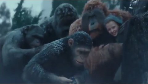 Apes  together strong!🙊 #warfortheplanet  <a href="/mattreevesLA/">Matt Reeves</a>  <a href="/andyserkis/">Andy Serkis</a> <a href="/AmiahMiller/">Amiah Miller</a> <a href="/KarinKonoval/">Karin Konoval</a> <a href="/Terrynotary/">Terry Notary</a>