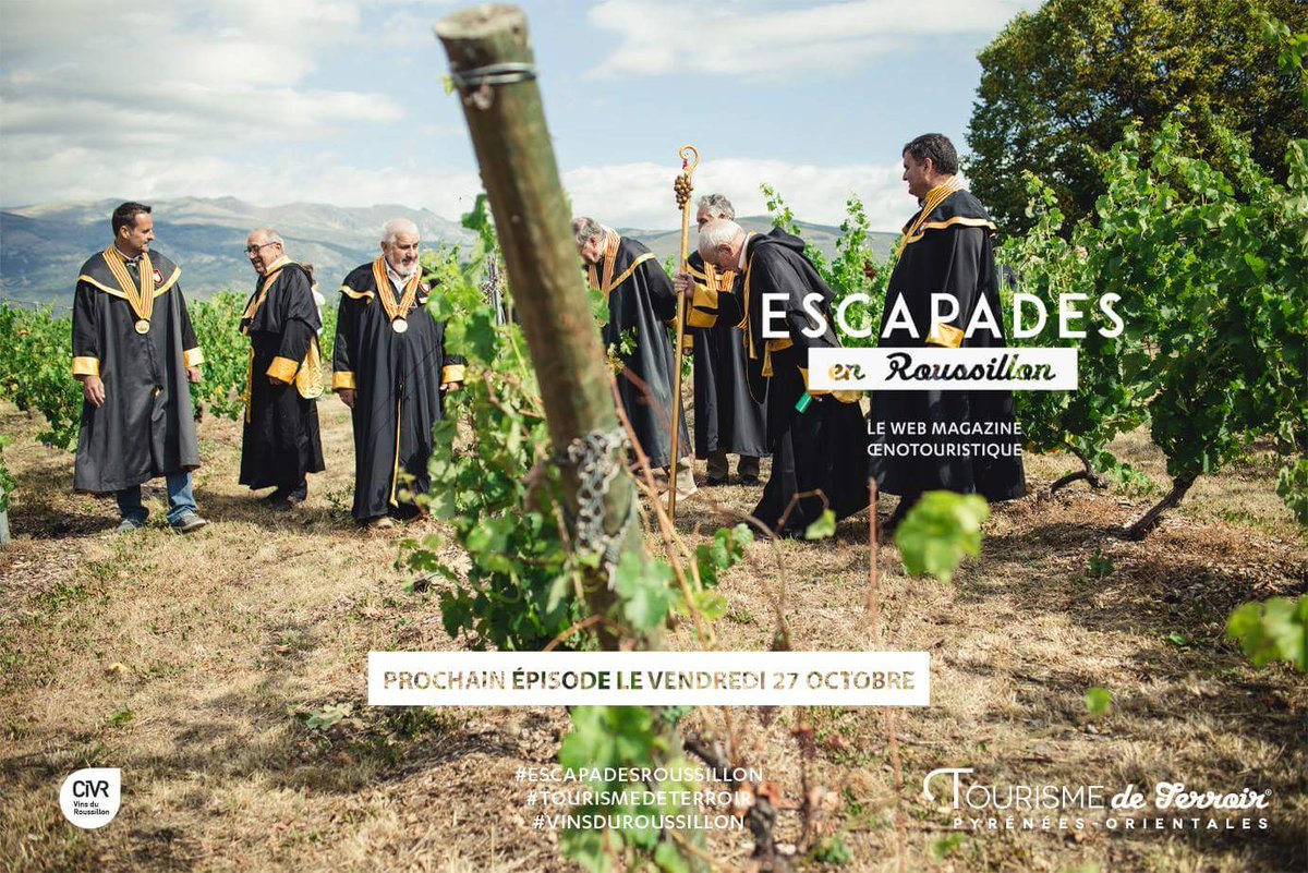 terroir66's tweet photo. Rdv J-5 #nouvelepisode #escapadesroussillon #vinsduroussillon #tourismedeterroir #Webmagazine @woma @Vins_Roussillon https://t.co/pqviCwqx0u