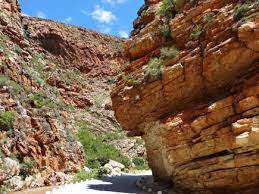 Jos Sutmuller tweet media