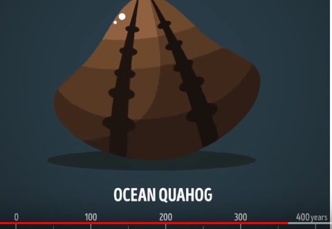 FRLC_LLC's tweet photo. What are the oldest organisms? How tall can we build? And more...
https://t.co/SYyPQRKVpP https://t.co/xrHtSkQy0W