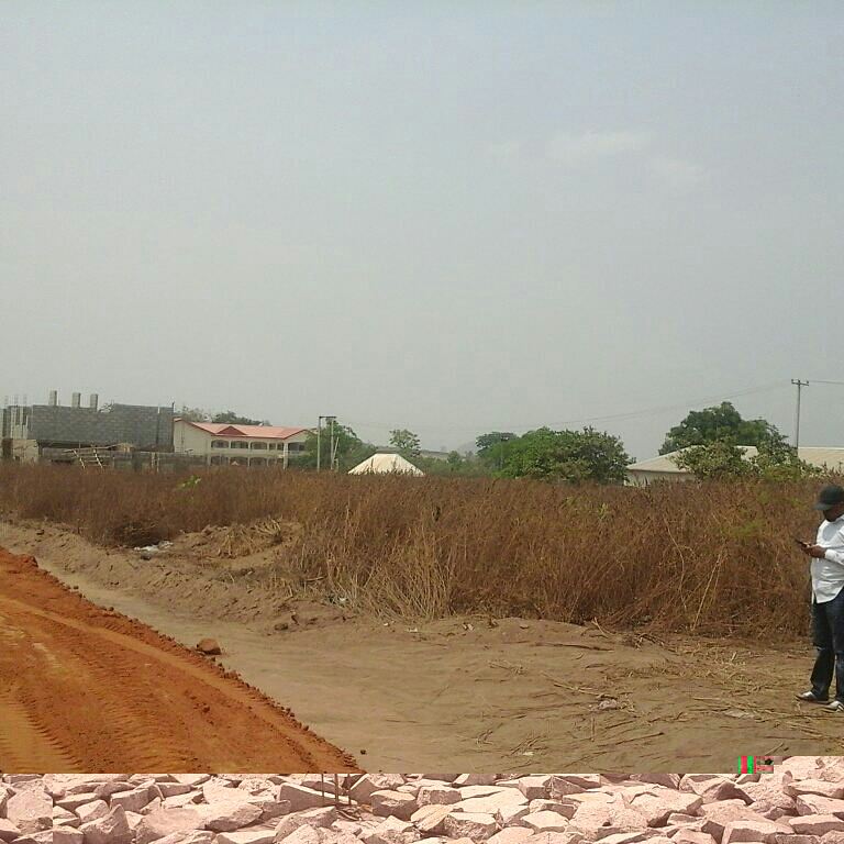 PisonProperty tweet picture