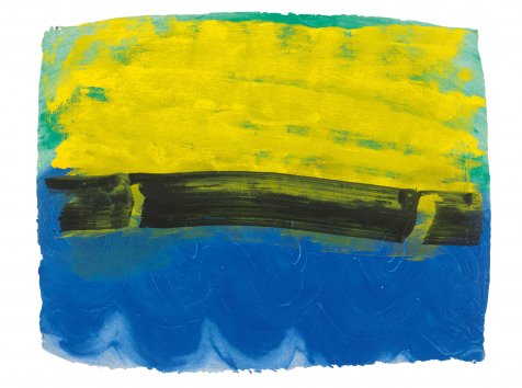 VisualArtsSW's tweet image. #PickOfTheWeek is Howard Hodgkin: India on Paper @VictoriaArtBath chosen by @HandinGloveNews 'A celebration of India in vibrant colour'