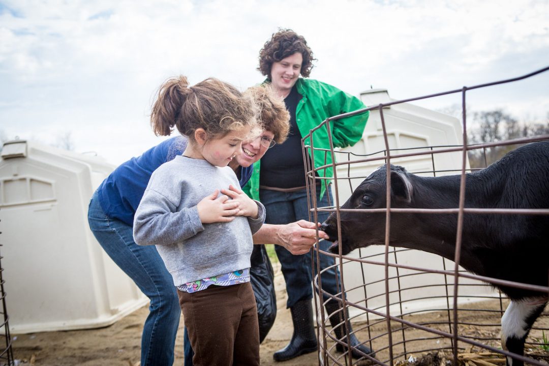 MidwestDairy's tweet photo. #FNCE farmer to meet at @NDC booth 1417: @bolinpam! Come by today from 12:15-1:45 p.m. and ask her about raising a family on the dairy farm! https://t.co/0VcMNkBIjd