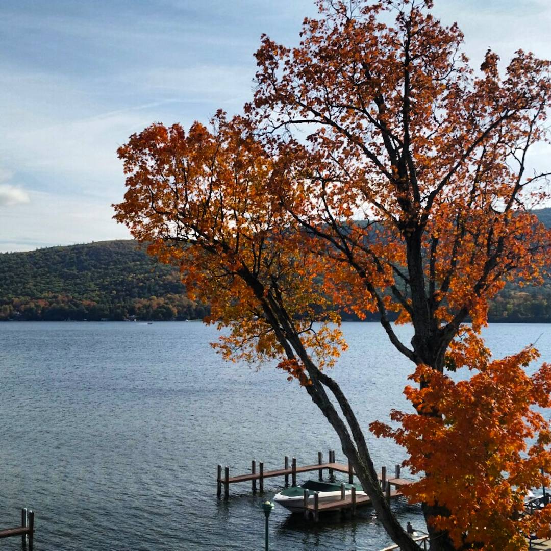 HotelSurfside's tweet photo. Is there a more beautiful time than #fall?
#LakeGeorge #newyork #adirondacks #upstateny #fallfoliage #fallleaves #surfside https://t.co/mqICwfIHUz