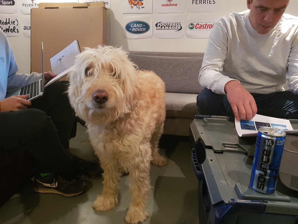 Our new Hoot intern. Likes head scratches. Dislikes confusing media briefs.