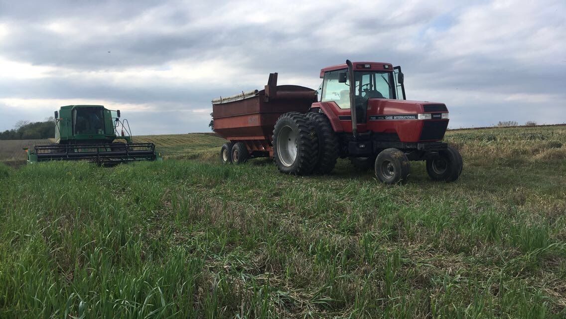 JasperHanson65's tweet photo. Go check out the YouTube page! #HansonFarms #farm365 #agchat https://t.co/4xjR0Drqsq https://t.co/tgSOcGPX8a