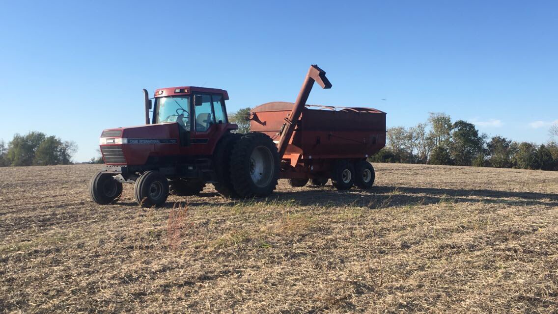 JasperHanson65's tweet photo. Go check out the YouTube page! #HansonFarms #farm365 #agchat https://t.co/4xjR0Drqsq https://t.co/tgSOcGPX8a