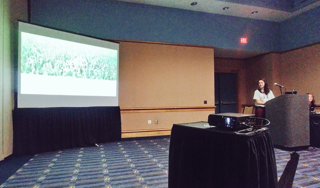 VTTurfTeaching's tweet photo. .@BoyledWorms presenting @USGA research: #SandTopdressing Influence on #Earthworm Casting in #C52017 Turf Ecology & Mgt. session #ACSMtg ⛳ https://t.co/SNiKBrOU3U