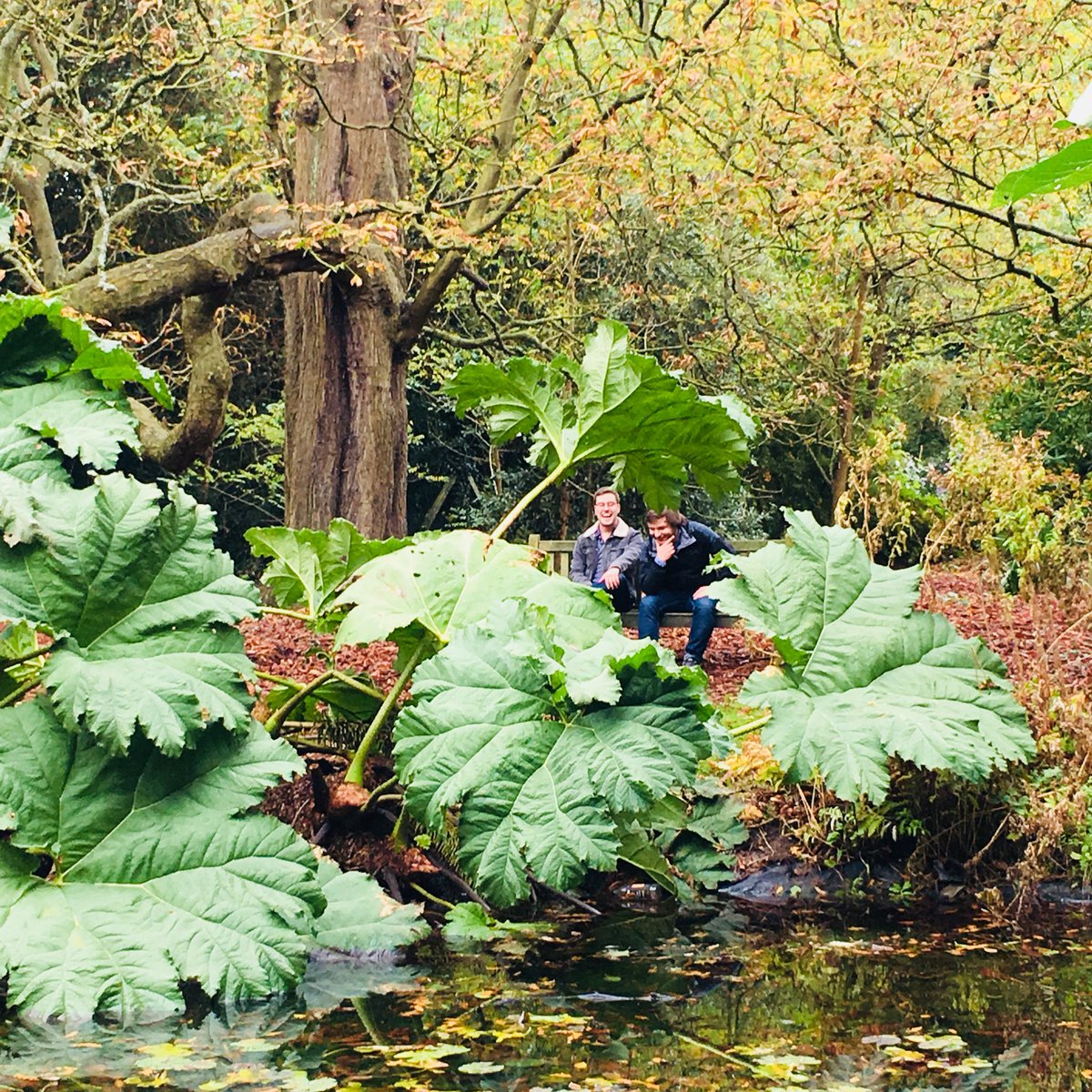 UniofReading's tweet photo. Even though it’s an exceptionally soggy day, the Harris Gardens are a sight to see! And a great place to relax in after triaging emails. https://t.co/YXPQRWfZlT