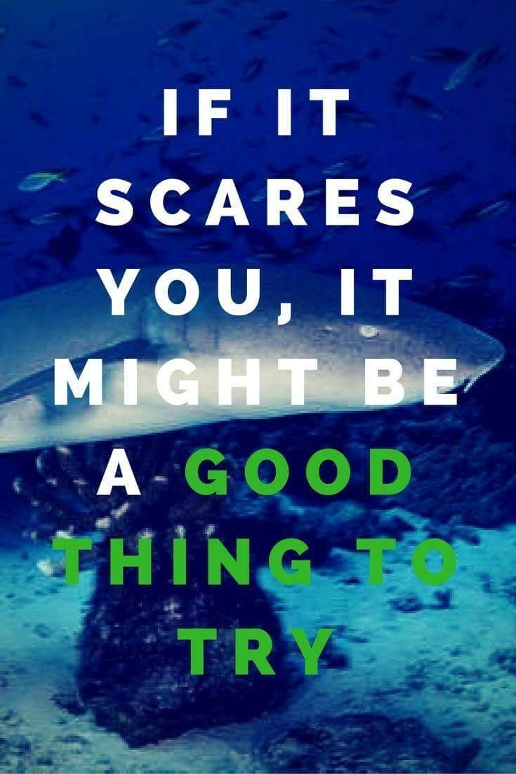 FnJSoftware1's tweet photo. Love to dive? Check out the Dive Master app! https://t.co/ryG4Wfrqwv https://t.co/vwqgtqhkAs