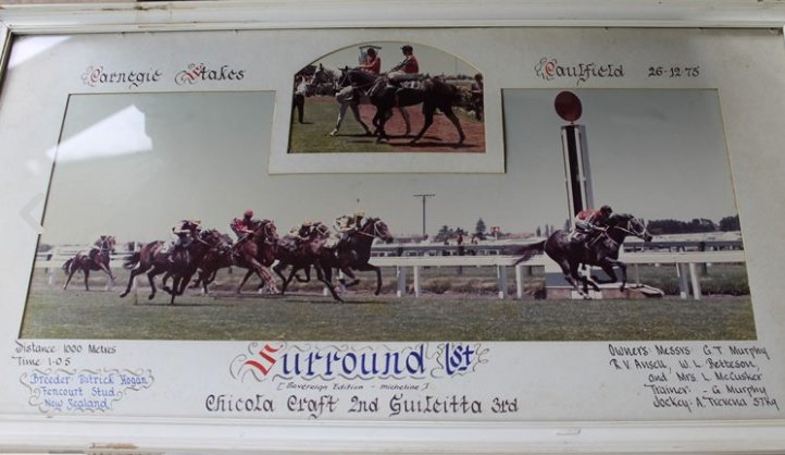 Rubicon_NZ's tweet photo. @Globalgallop @kylegalley @MickMCG34 @TheSharkTweet @MickPriceRacing @ThirdDividend @dulcifybp NZ racing fan selling SURROUND pic #CP76 https://t.co/6g2zWjAJWq