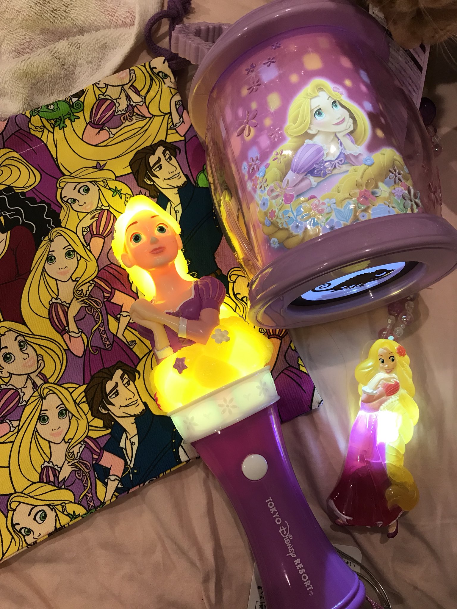 周年の中川翔子 ディズニーランドにたくさんラプンツェルのグッズが売ってたー ひかるランタンはパスカルのかたちに光りが地面にうつるよ T Co F971q4j9ox Twitter