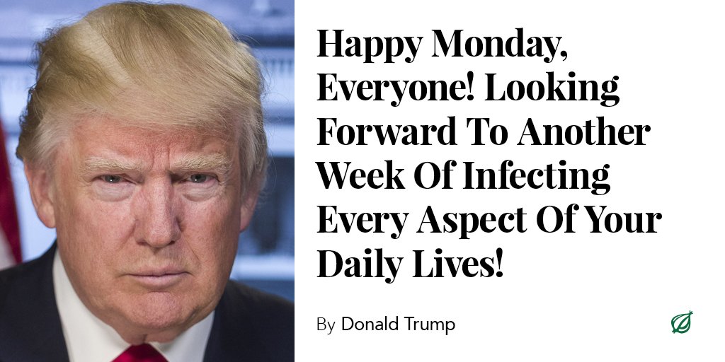 The Onion tweet media