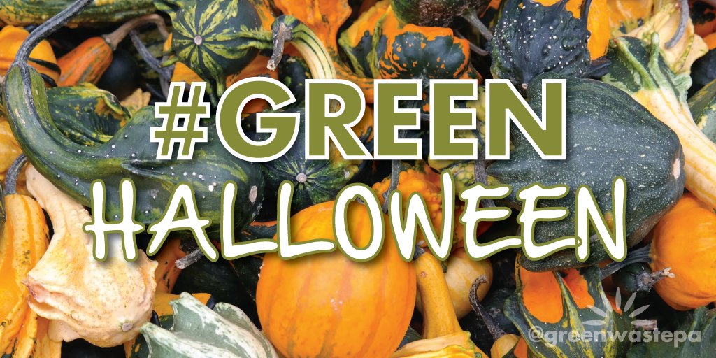 Tip #1: Pick up your costume from a local thrift store. Maybe a pre-worn costume, or some random items to reuse and spark your creativity!