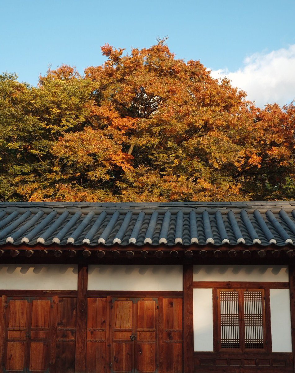 michellefranlee's tweet photo. Sweater weather in Seoul 🇰🇷🍁

#seoul #SouthKorea #photography #travelphotography #travelblog #TravelEnjoyRespect #autumn #iystd2017 https://t.co/owZCBTngqX
