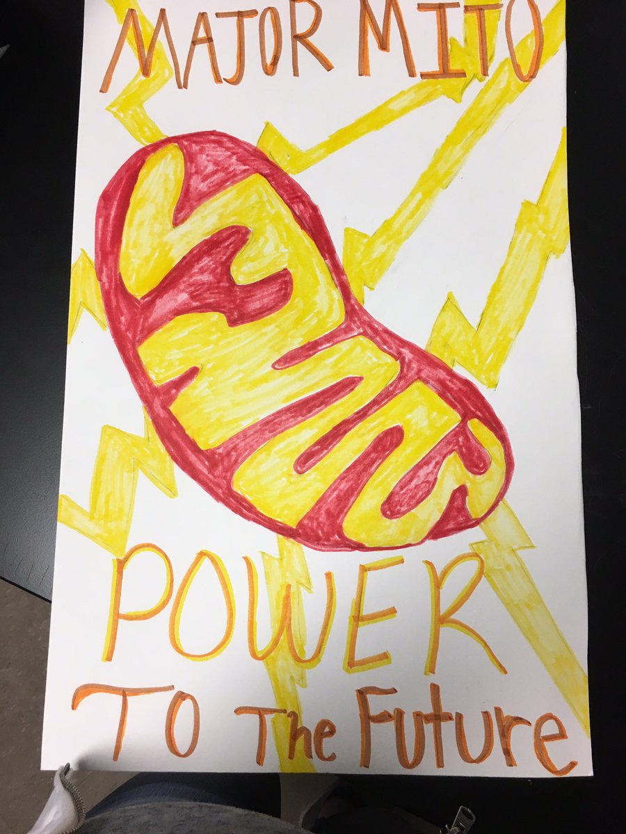 MitoMajor's tweet photo. Vote Mitochondria for Governor!! @mslaflamme #organellewars  #akins #akinsapbio https://t.co/HaSK07z00M