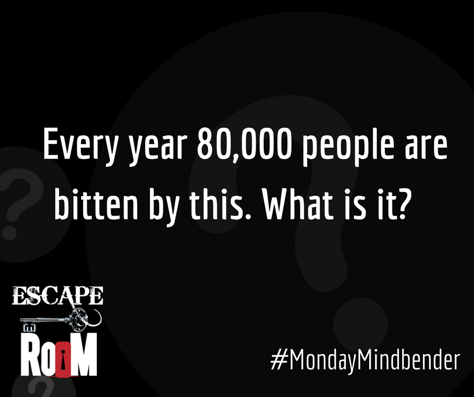 EscapeTucson's tweet photo. This wouldn't be a great way to start your week.
#MondayMindbender #escaperoom #escapeartist https://t.co/NfJlAHyWvj