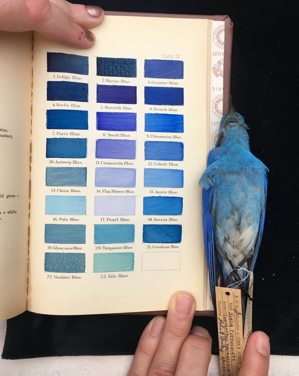 book_historia tweet picture