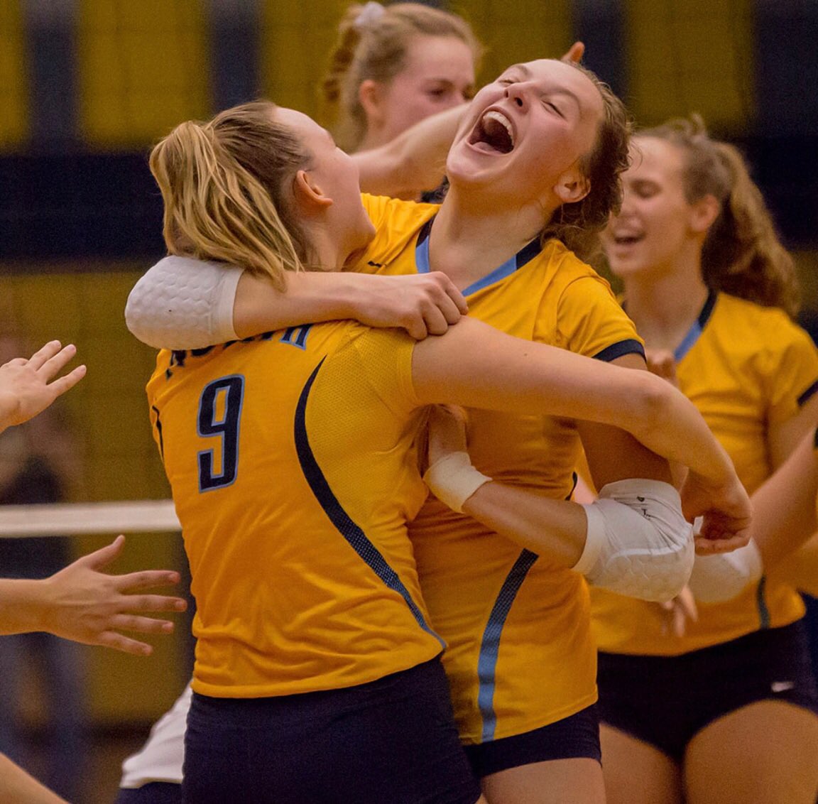 North Volleyball tweet media