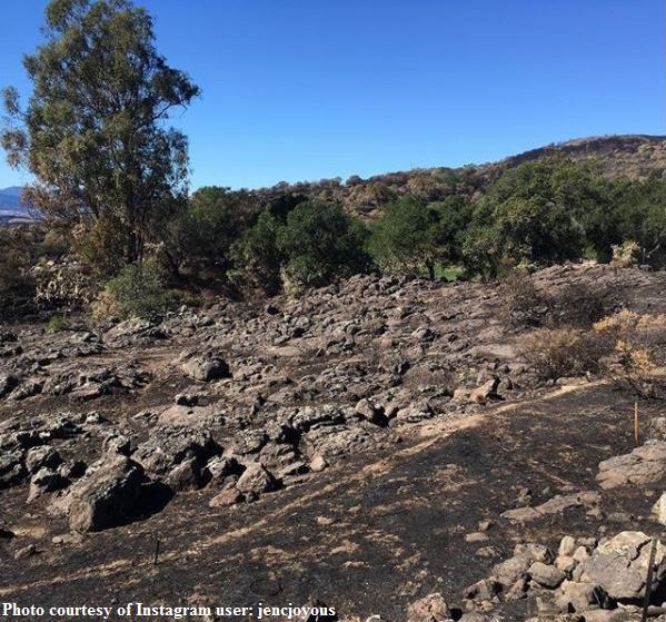 CAL_FIRE's tweet photo. #AtlasFire [update] north &amp; west of Napa (Napa/Solano Co) is now 51,624 acres and 95% contained. #SouthernLNUComplex https://t.co/emojimpbF5 https://t.co/u4VLcHarox