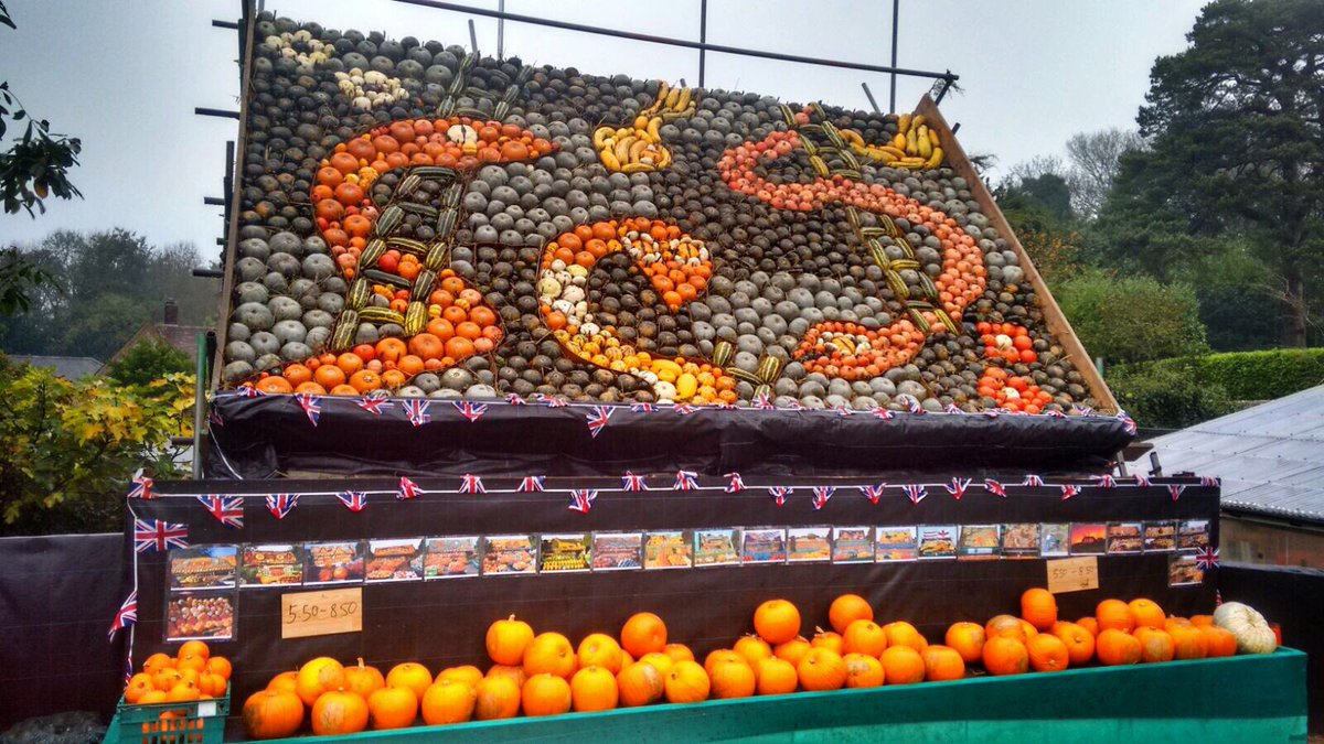 Snakes &amp; ladders - formed of pumpkins &amp; squashes - in <a href="/slindonpumpkins/">Slindon Pumpkins</a>' annual piece - worth viewing full size to check the snakes' eyes...