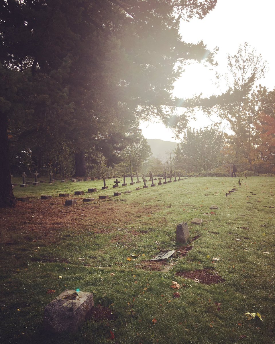 Heather Evans tweet media