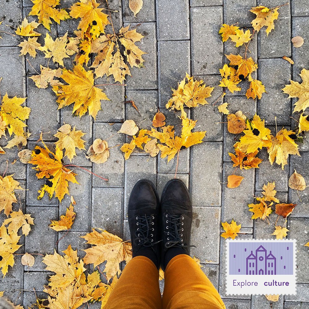 Visit_Lita's tweet photo. Did you know that winter is the most wonderful time of the year?
Yet autumn is the most colorful! 
Visit Lita in autumn! 
#VisitLita https://t.co/CZ0OxiGMJm