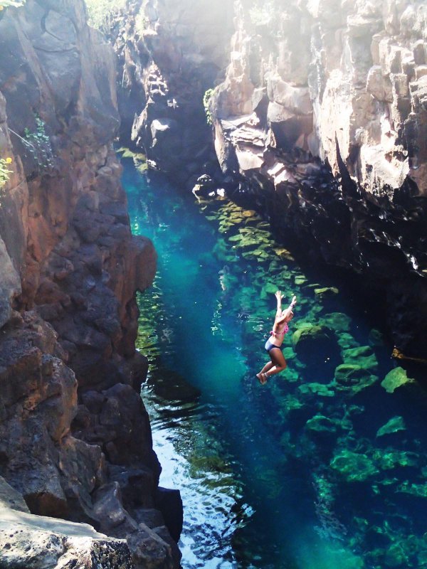 ButDansLaVie's tweet photo. Cette rivière claire des îles Galapagos est magnifique 🌎🌴 https://t.co/1M5hUdVR2O