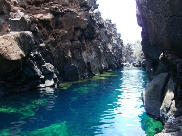 ButDansLaVie's tweet photo. Cette rivière claire des îles Galapagos est magnifique 🌎🌴 https://t.co/1M5hUdVR2O